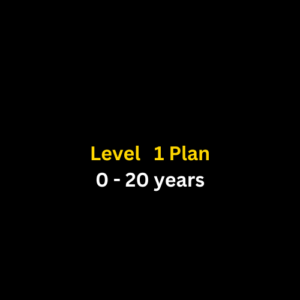 Level 1 Plan