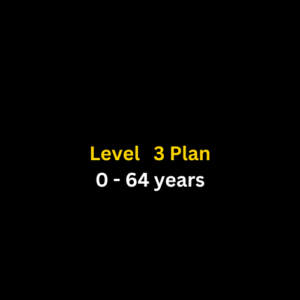 Level 3 Plan